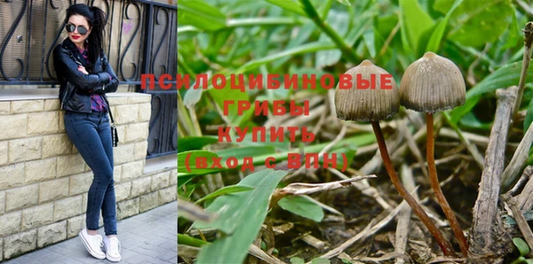 альфа пвп Россошь