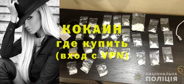 гидра Верхний Тагил